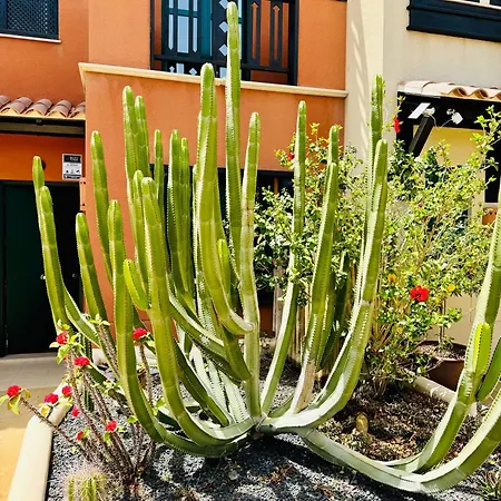 Take It Easea San Miguel de Abona