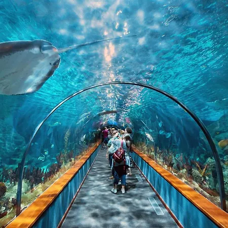 Lägenhet Take It Easea *