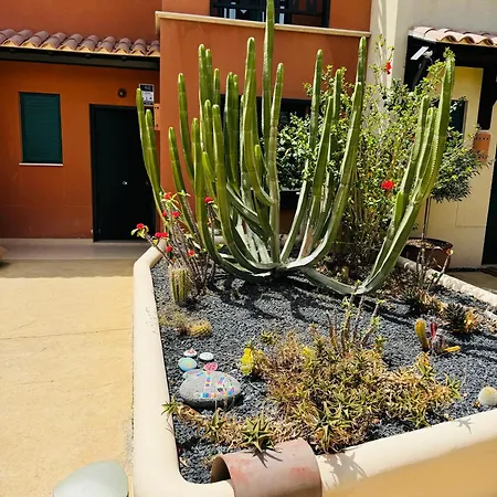 Apartment Take It Easea *